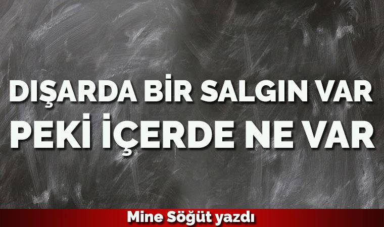 Dışarıda bir salgın var; peki içeride ne var?