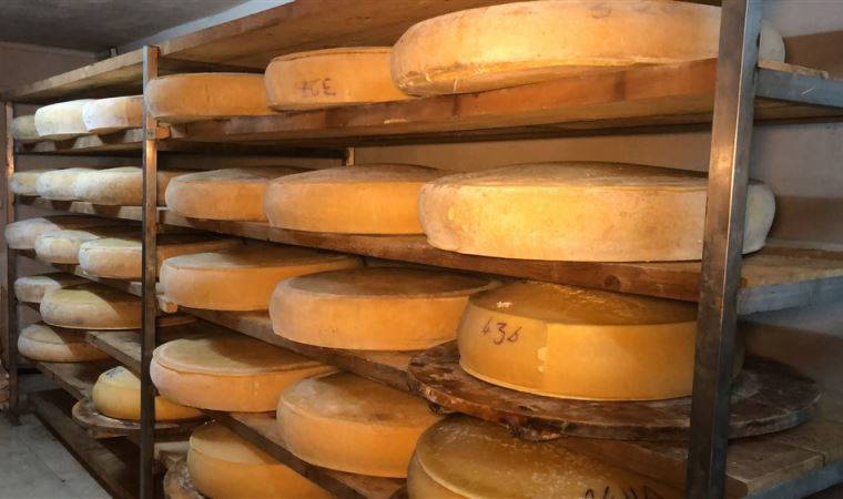 'Kars kaşarı İsviçre'nin Appenzeller peynirinin ciddi bir rakibidir'