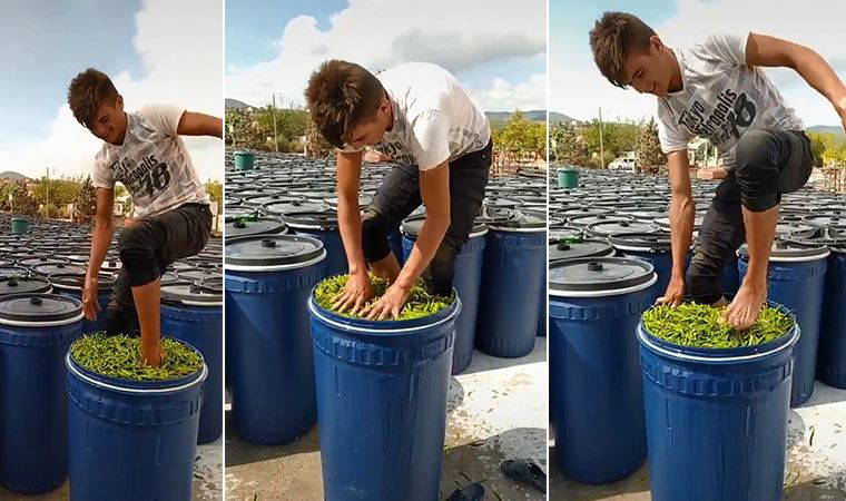 Çıplak ayakla turşuluk biberleri ezen gencin görüntüsü tepki topladı