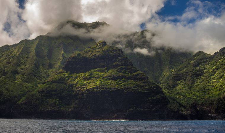 Hawaii’de keşfedilen çiçek, türünün yaşayan tek örneği