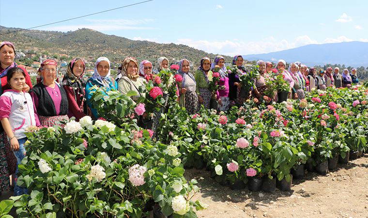 Sakız koyunu dağıtımlarında kadınlara öncelik verildi
