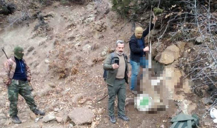 Karadeniz'de yaban hayvanları, kaçak avcıların hedefi oluyor