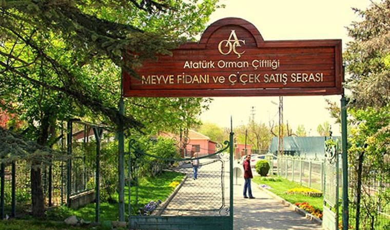 Atatürk Orman Çiftliği arazisi metrekaresi 5 TL'den kiraya çıkarıldı!