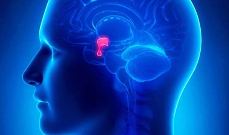 ABD'li doktor açıkladı: Migrenin nedeni yüzde 90 çocukluk alerjisi