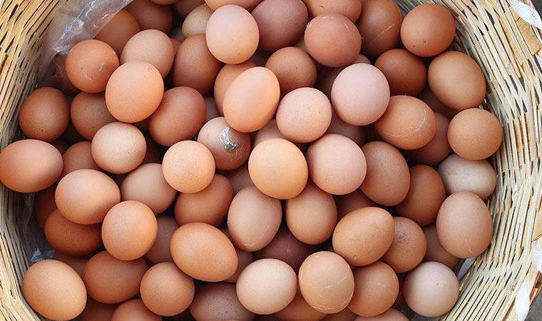 Yumurta bir yılda fiyatını iki katına çıkardı