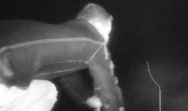 Ağaçlarını kesen kişiyi fotokapanla yakaladı