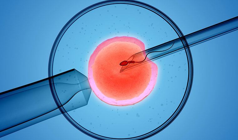 Koronavirüs sperm kalitesini düşürüyor: ‘Erkek üreme sistemi DSÖ tarafından riskli organ ilan edilsin’