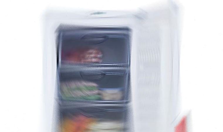 Annesinin cesedini 10 yıl dondurucuda sakladı