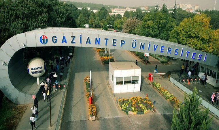 Rektör kendini dekan atadı