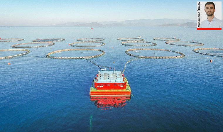 Deniz ekosistemi tehlikede