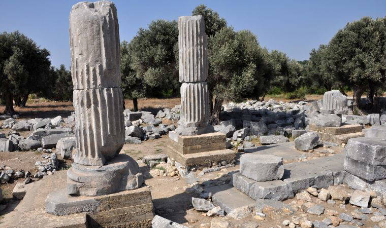 Dionysos’un izinde: Teos Antik Kenti'nde bir gün