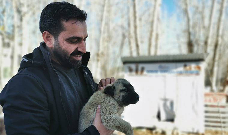 Ovacık Belediye Başkanı, sokak hayvanları için makam ve belediye araçlarını sattı