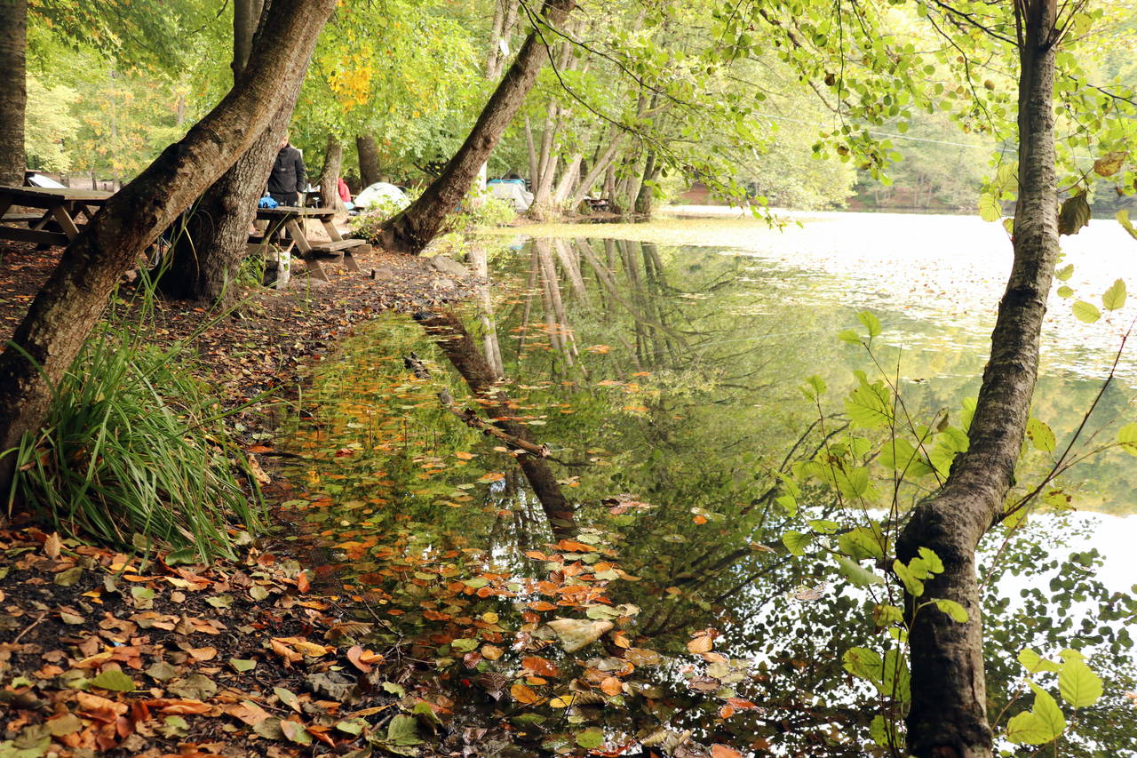 Yedigöller'de sonbaharın gelişiyle renk cümbüşü yaşanıyor