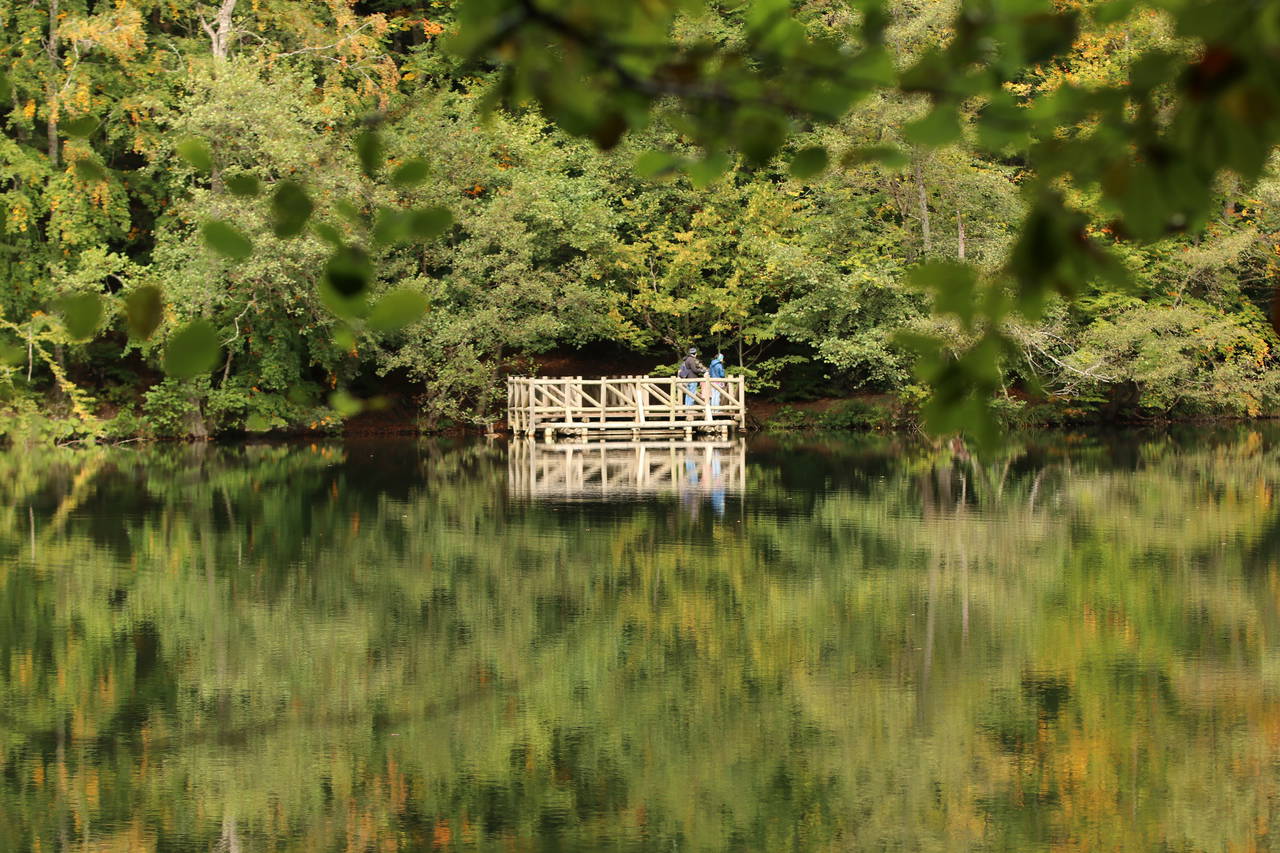Yedigöller'de sonbaharın gelişiyle renk cümbüşü yaşanıyor