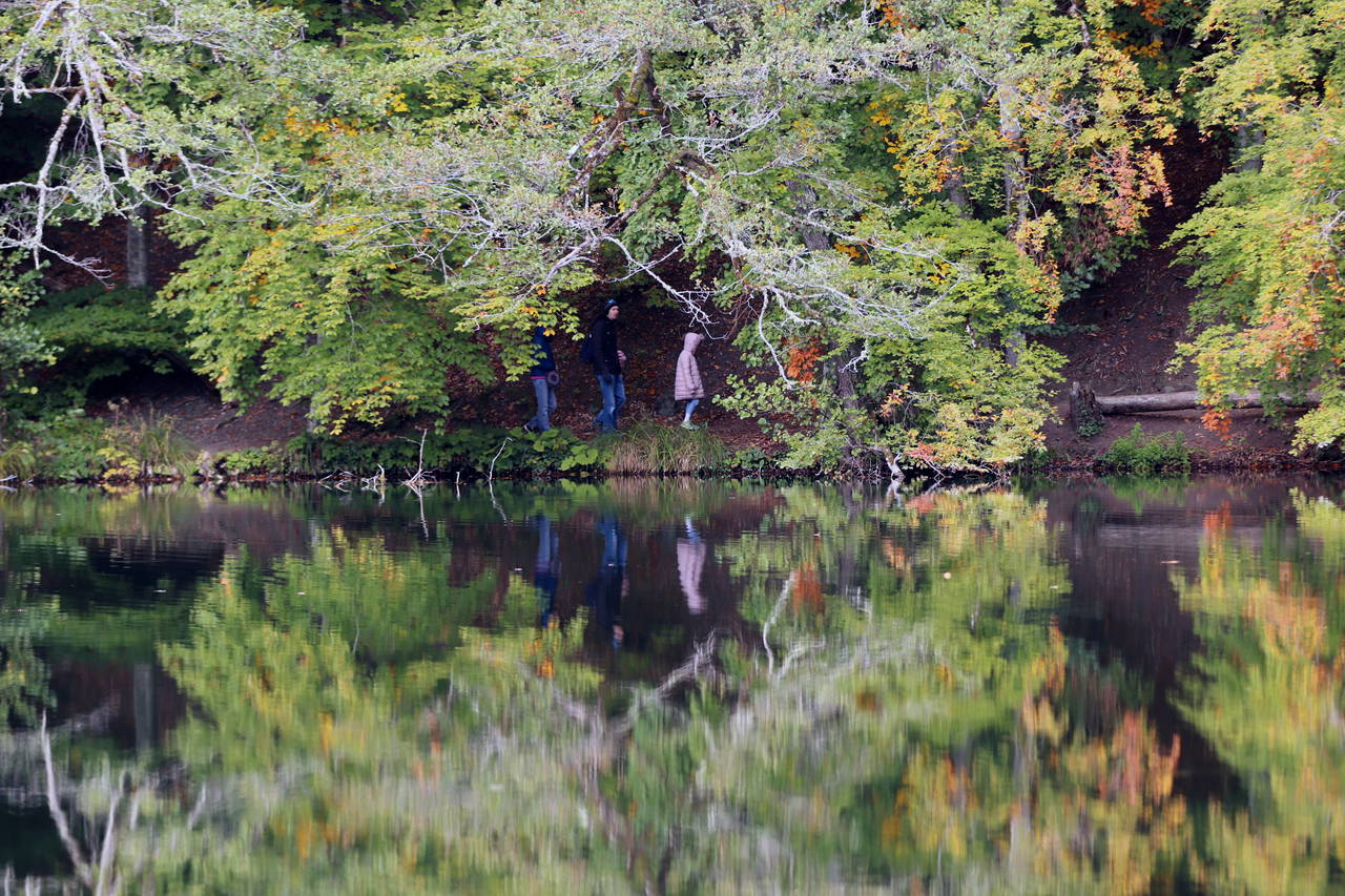 Yedigöller'de sonbaharın gelişiyle renk cümbüşü yaşanıyor