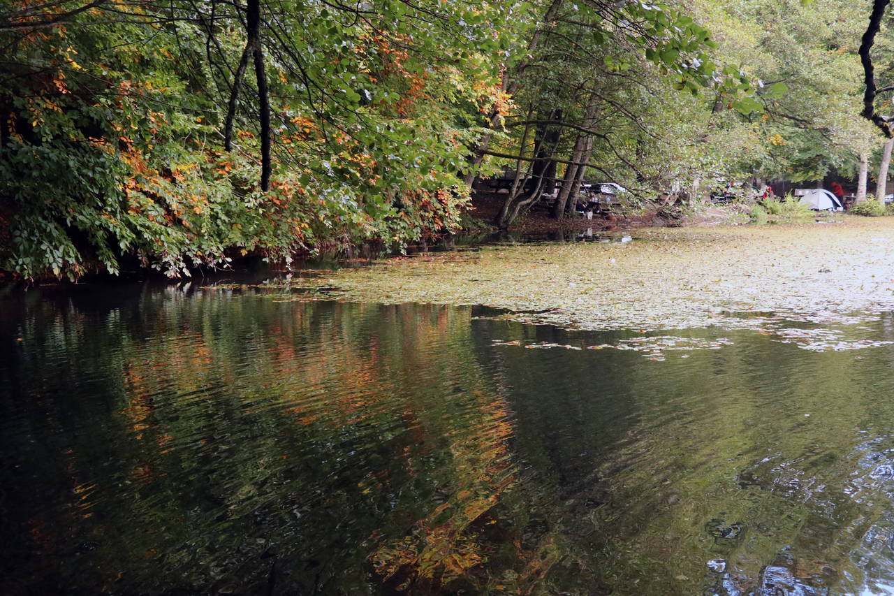 Yedigöller'de sonbaharın gelişiyle renk cümbüşü yaşanıyor
