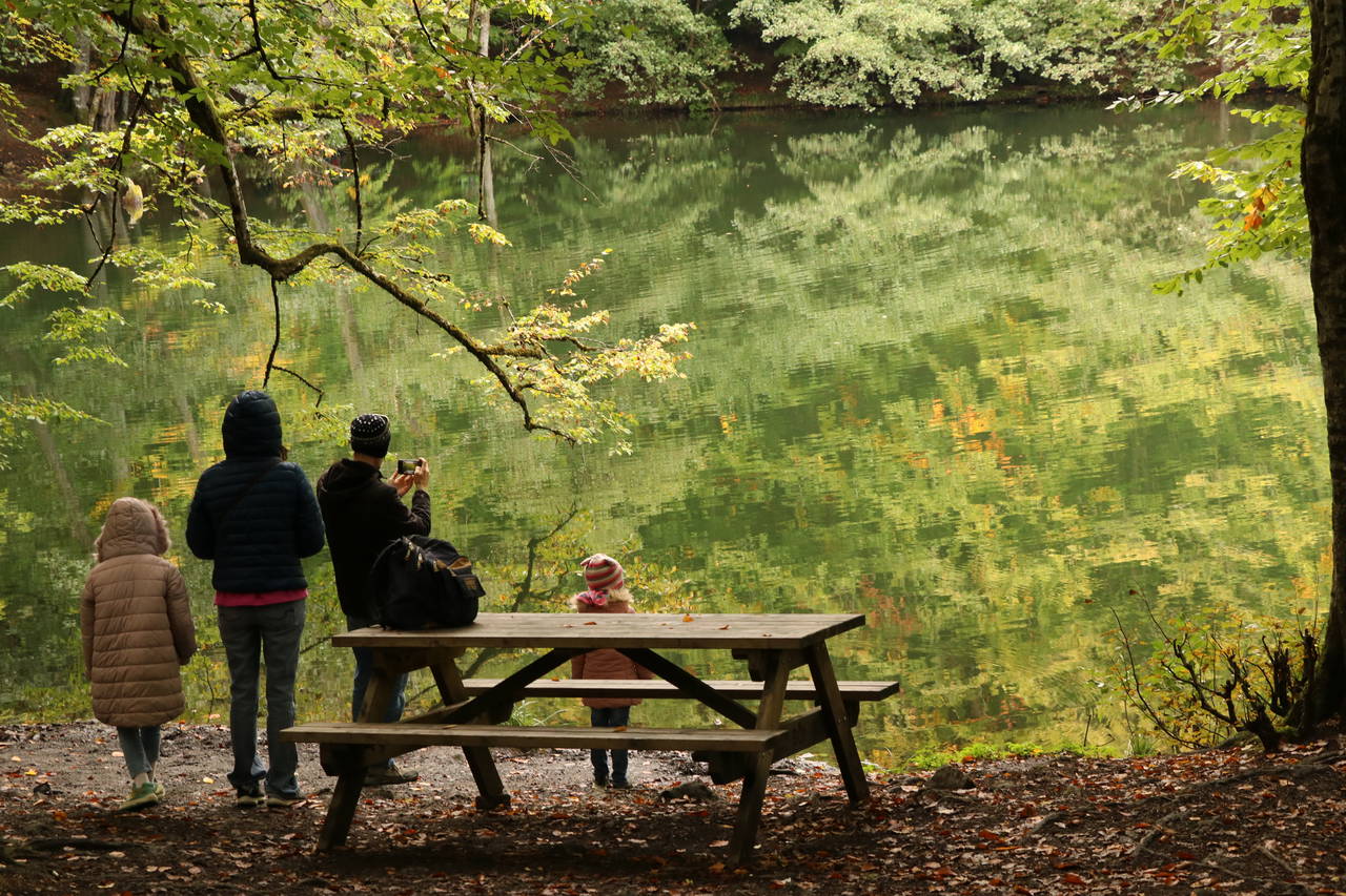 Yedigöller'de sonbaharın gelişiyle renk cümbüşü yaşanıyor