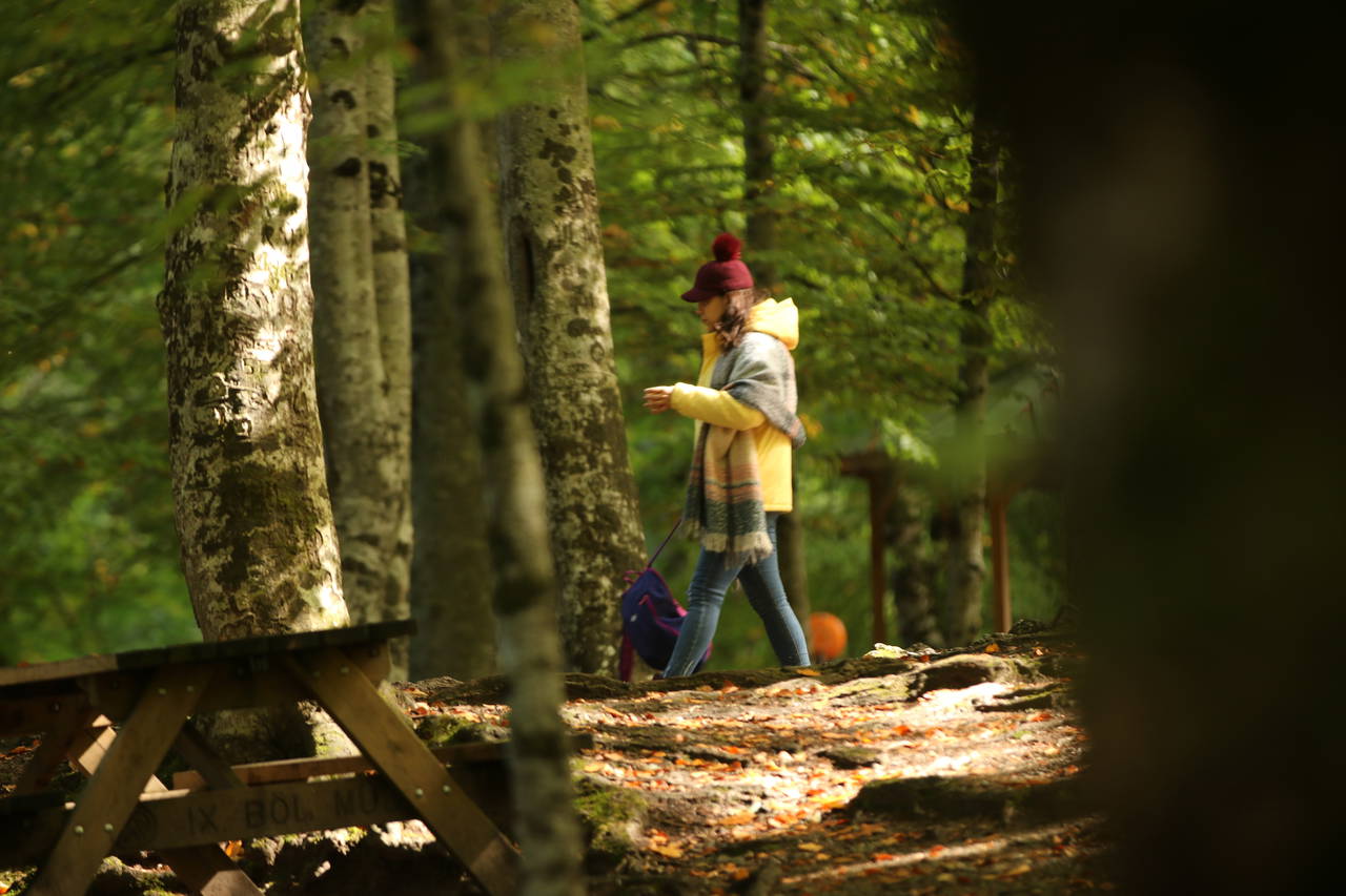 Yedigöller'de sonbaharın gelişiyle renk cümbüşü yaşanıyor