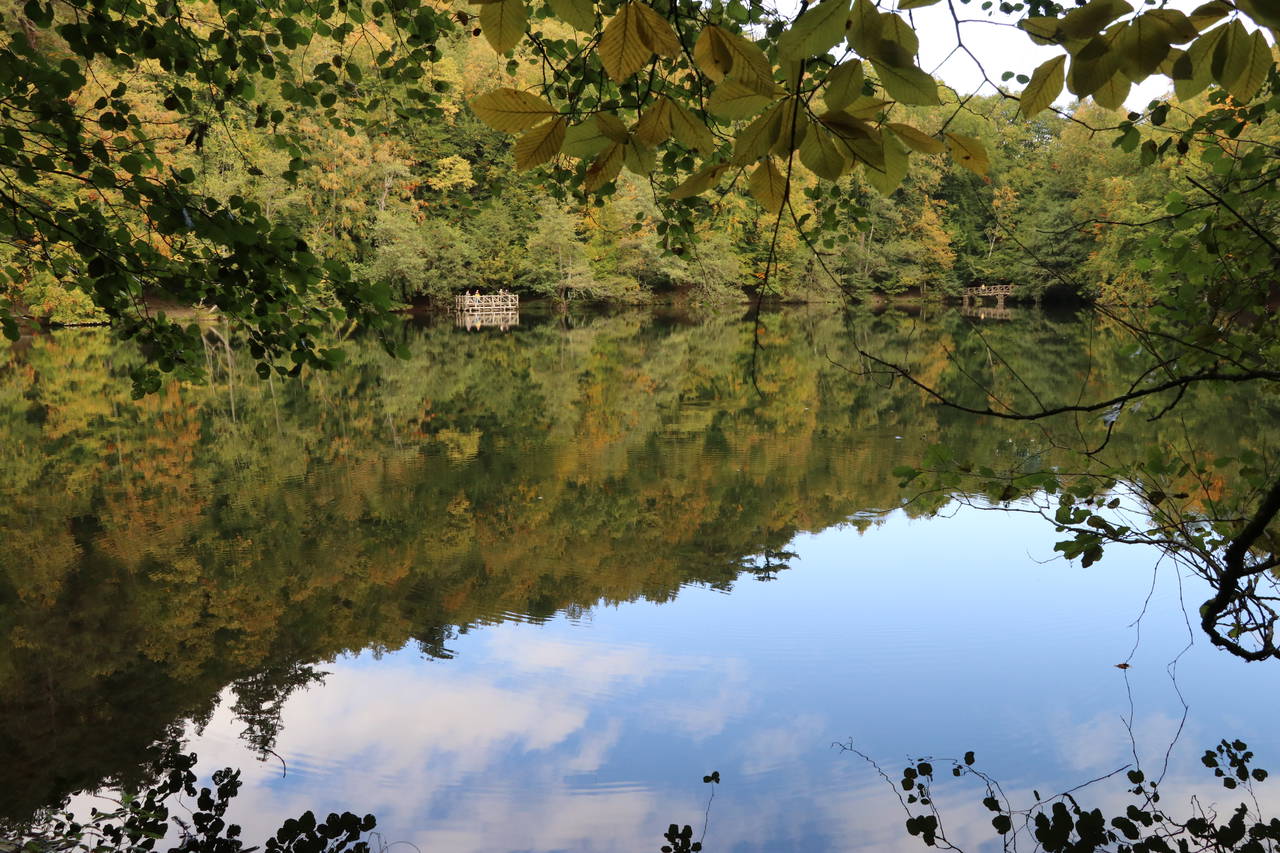 Yedigöller'de sonbaharın gelişiyle renk cümbüşü yaşanıyor