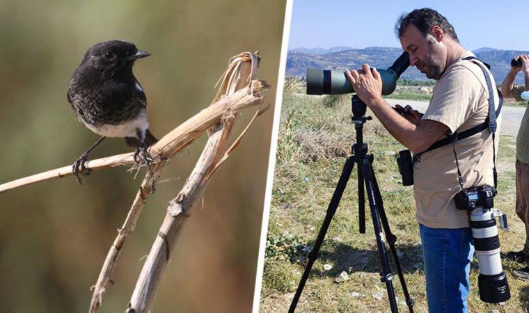 Kara Taşkuşu'nu görmek için Hatay'a akın ettiler