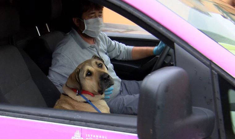 Boji bakımevinde bile yolculuk yapıyor