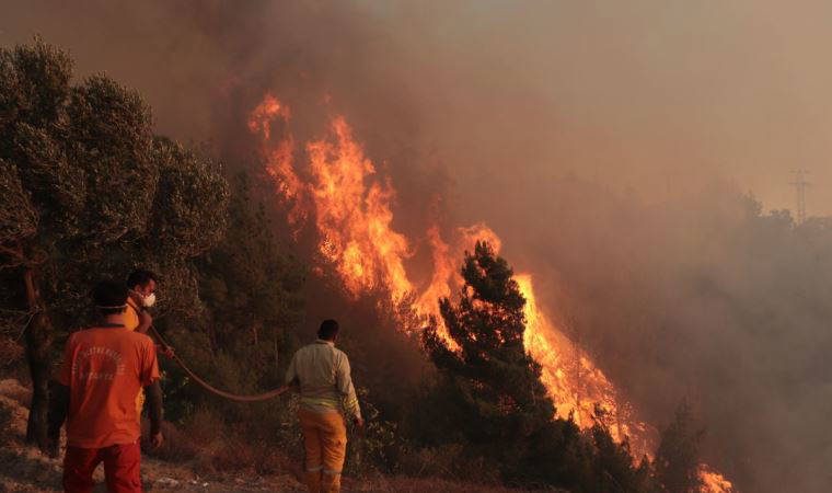 Hatay'da çıkan orman yangını kontrol altına alınmaya çalışılıyor