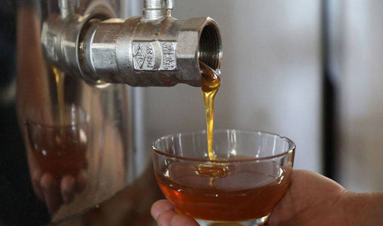 Orman yangınları bal fiyatlarını uçurdu