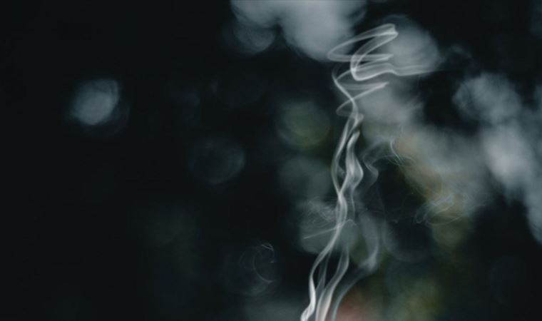 Tütüne dair gerçek ortaya çıktı!