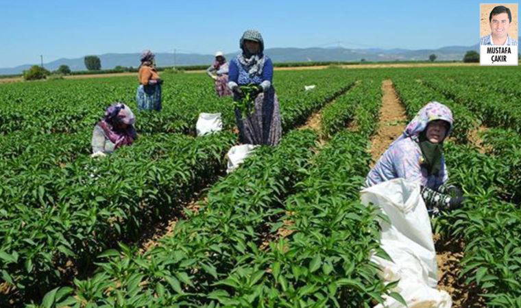 ‘Torba teklif’ ile çiftçilere verilen destekten kesilen vergiler iade edilecek