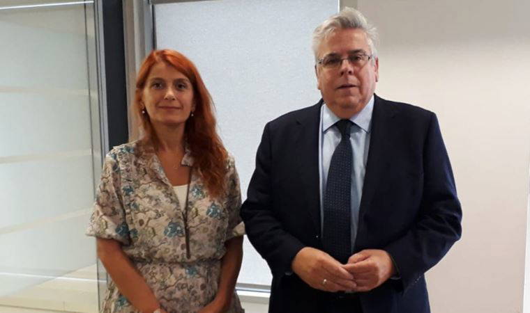 AP Türkiye Raportörü Amor: ‘Siyasi isteklilik gerekiyor’