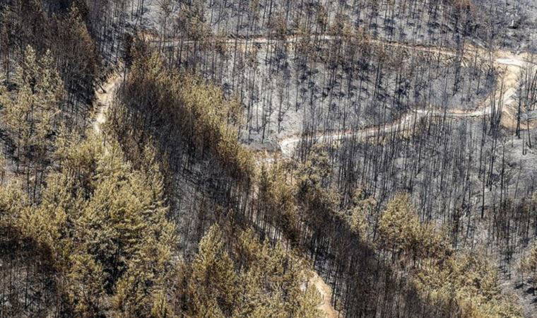Türkiye'nin Paris İklim Anlaşması kapsamında alacağı yardım miktarı belli oldu