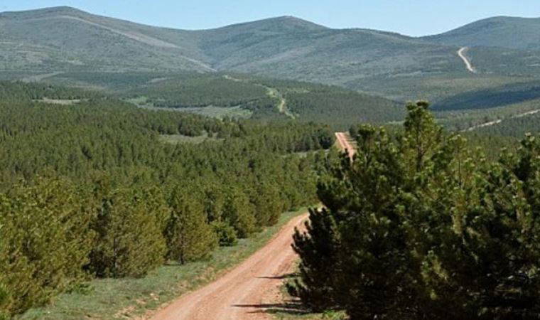 Koza firmasına, Kırşehir’deki altın arama faaliyetleri için ÇED istisnası tanınmış