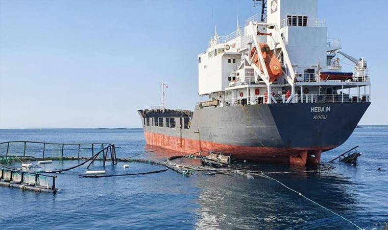 Güllük'te gemi balık çiftliğine girdi; 750 bin balık 'denize kaçtı'