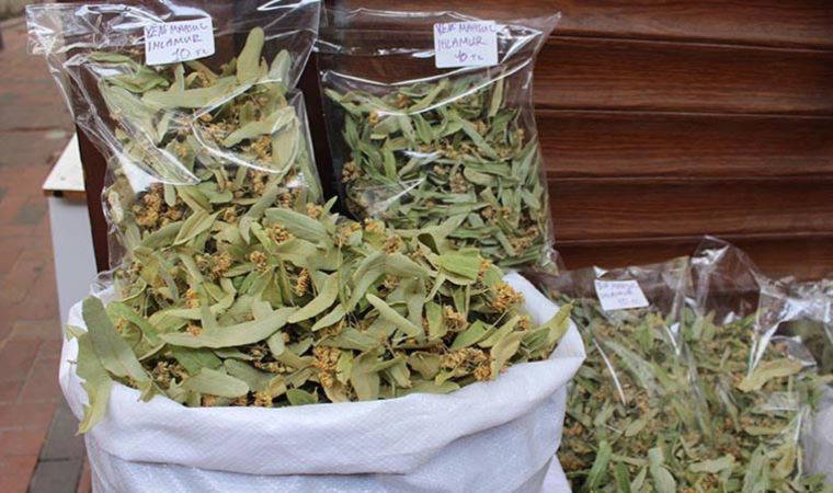 Ihlamurun kilosu 400 liraya fırladı: 