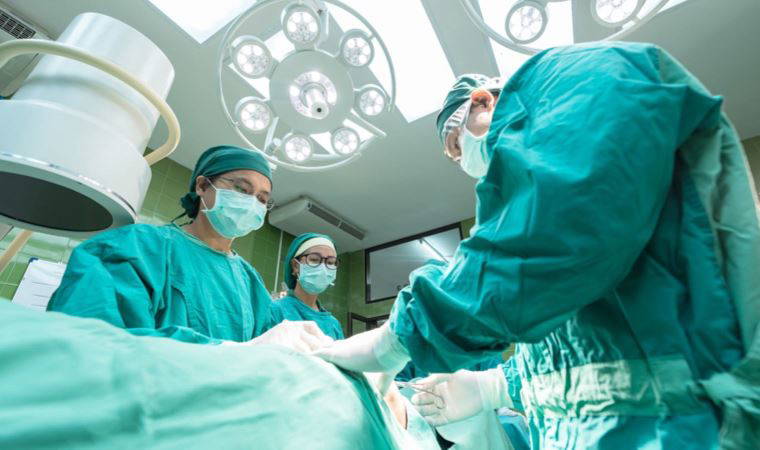 Domuzdan insana ilk başarılı böbrek nakli