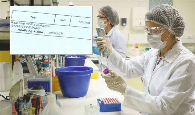 WhatsApp ile PCR testi; e-Nabız'a bile düştü