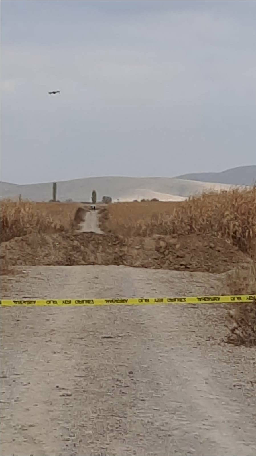 Tarlada korkutan görüntü