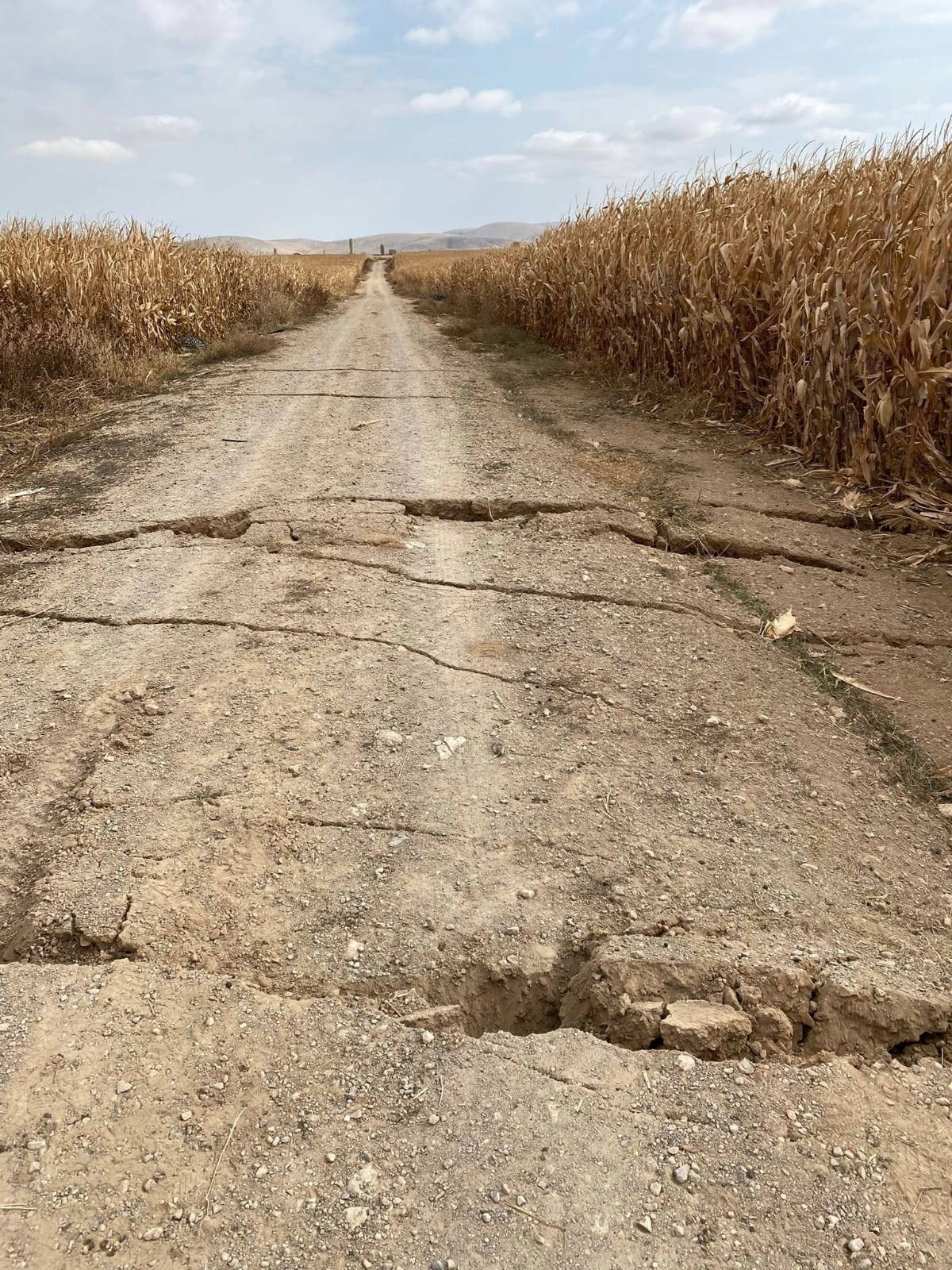 Tarlada korkutan görüntü