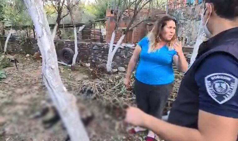 Bodrum'da vahşet! 20 kedi katledildi