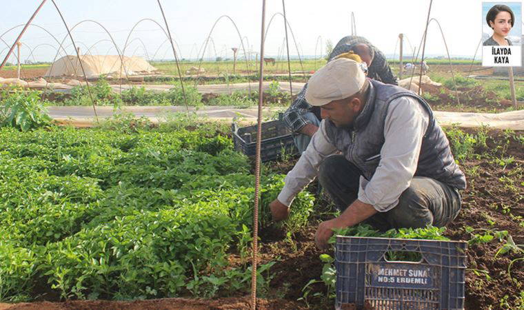 'ÜRETİCİYİ DESTEKLEMEK ZARURİ'