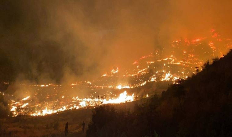 Muğla'da orman yangını çıktı!