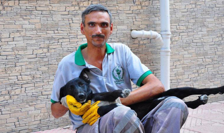 Sokakta yaşayan köpek, temizlik işçisinin yanından bir an olsun ayrılmıyor