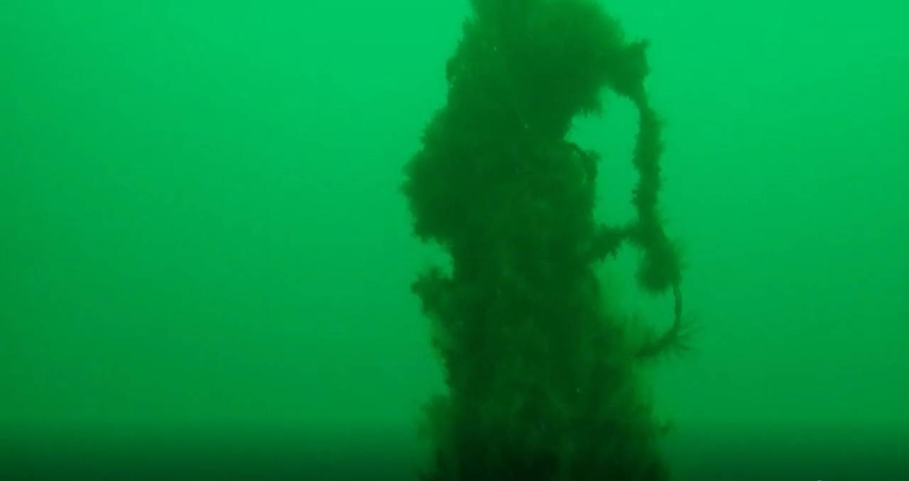 İstanbul'da 80 metre 