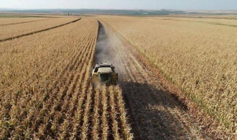 TZOB Başkanı Bayraktar: Üretici ile market arasında fiyat farkı 3.5 kata yaklaştı