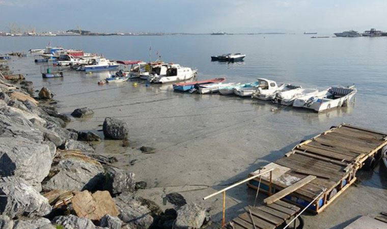 Marmara'daki büyük tehlike: Gerekli adım atılmıyor