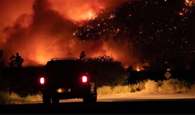 Dünyada bir ilk: Hastalık sebebi, 