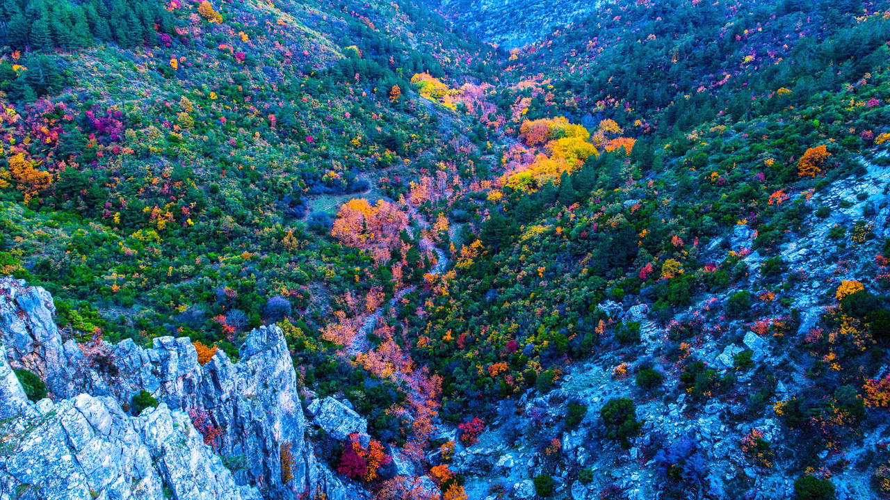 Spil Dağı'ndan sonbahar manzaraları