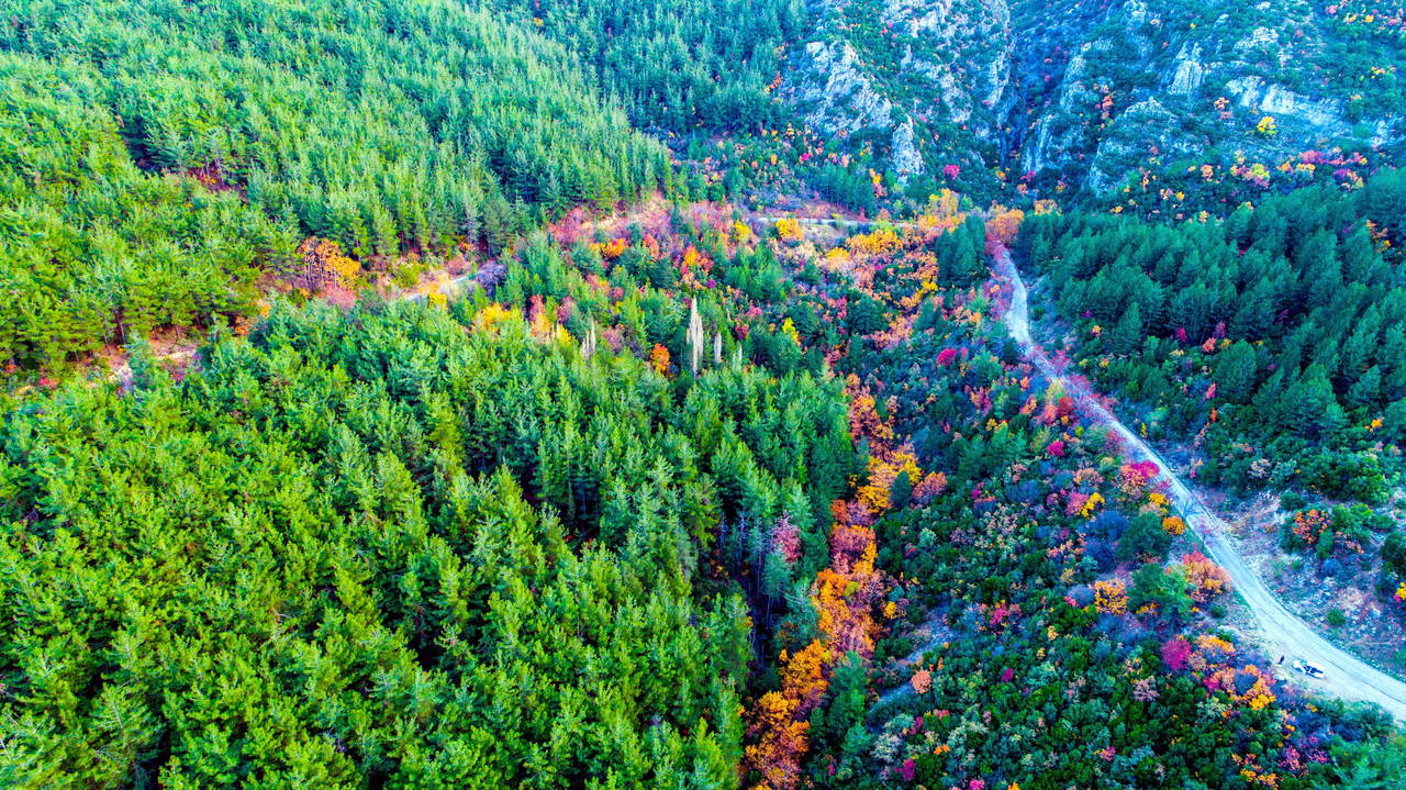 Spil Dağı'ndan sonbahar manzaraları