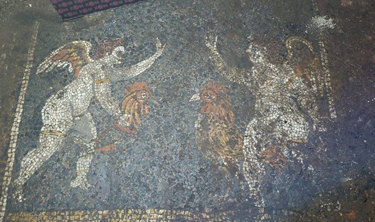 İzmir'de 'Romalı bir zengine ait' 2700 yıllık iki mozaik bulundu