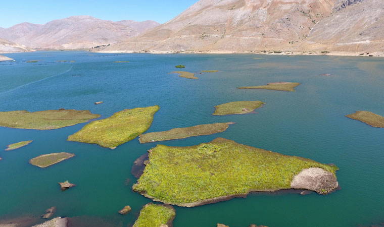 İlk kez görüntülendi: Dünyada sadece Adıyaman'da var